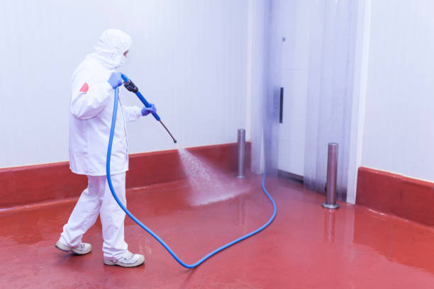 Best Building Exterior Washing  in La Puente, CA