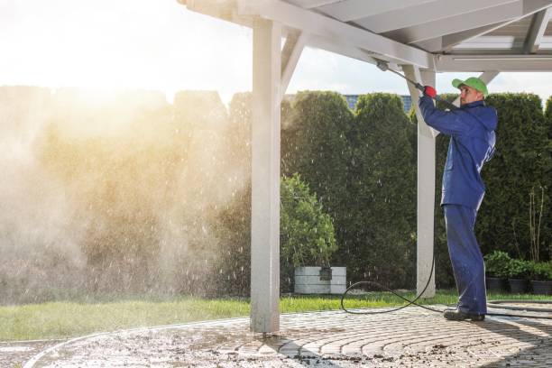 Best Soft Washing  in La Puente, CA